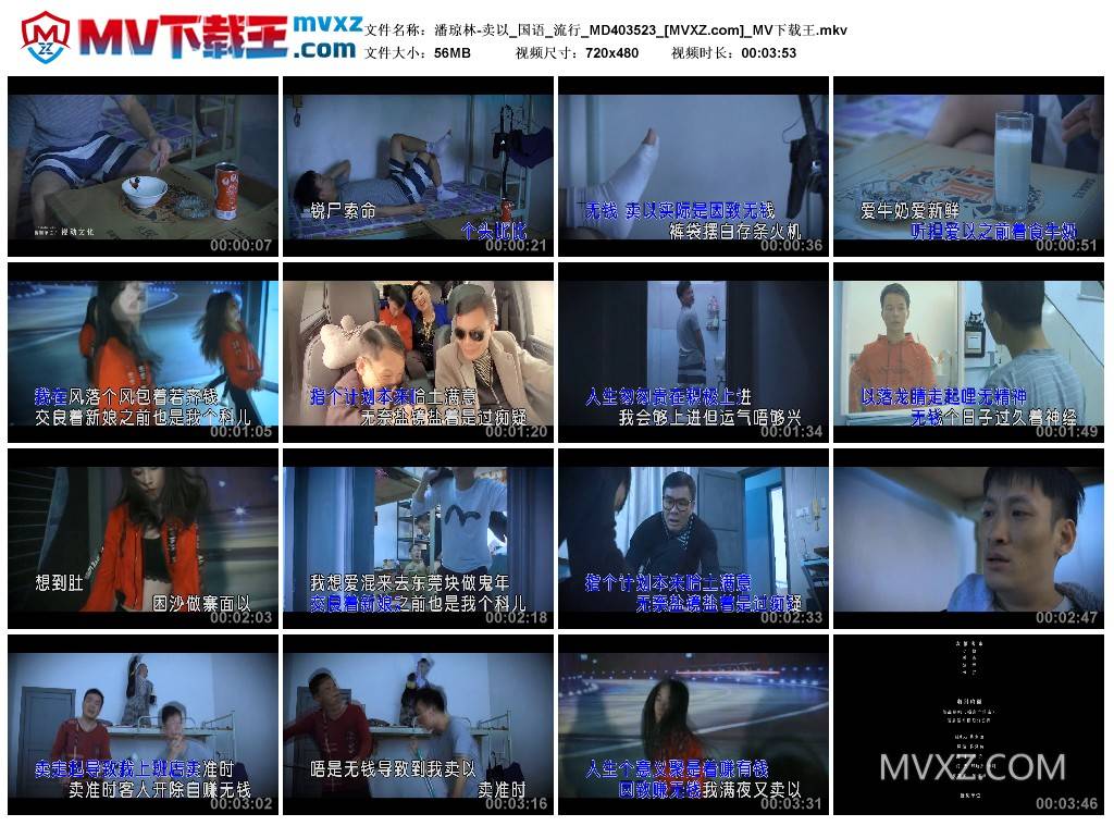 潘琼林-卖以_国语_流行_MD403523